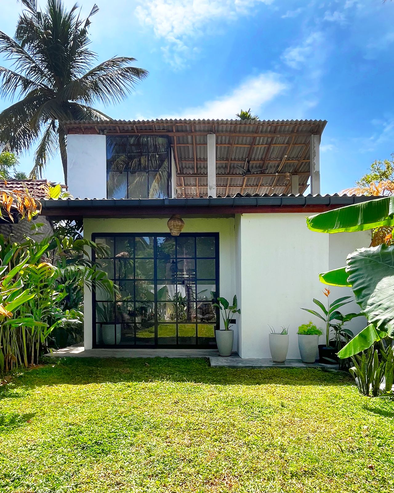 Casa lush palms