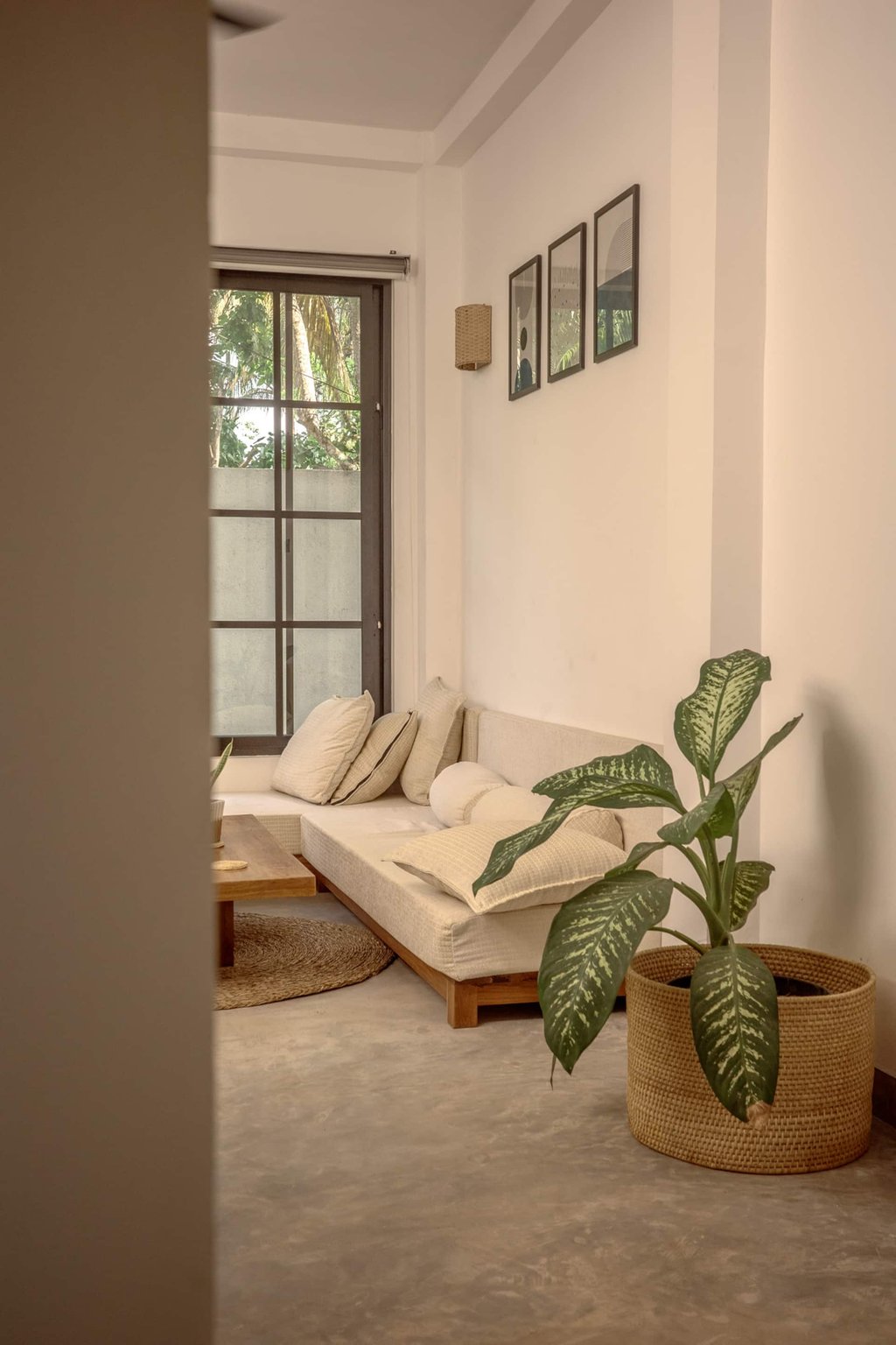 Casa living room with sofa and plant