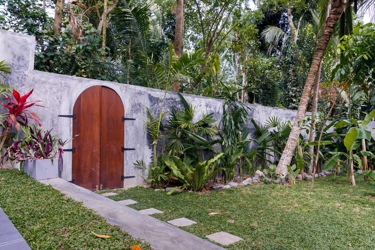 Safiya garden wall and landscaping